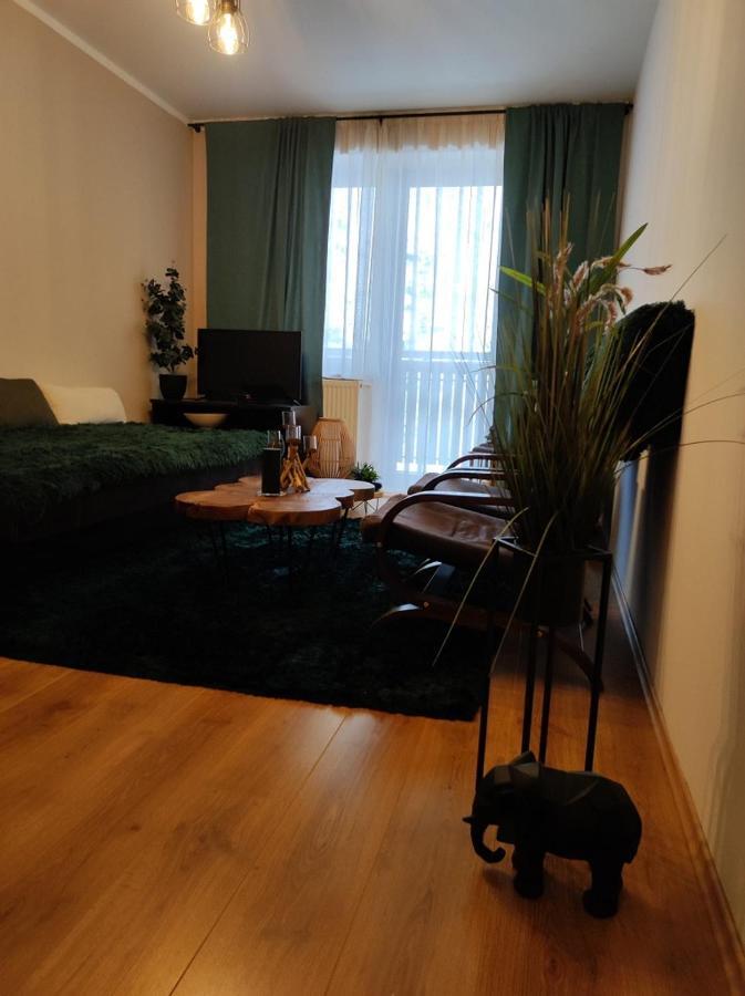 Ski Apartman Sajmon So Saunou Makov Exteriér fotografie