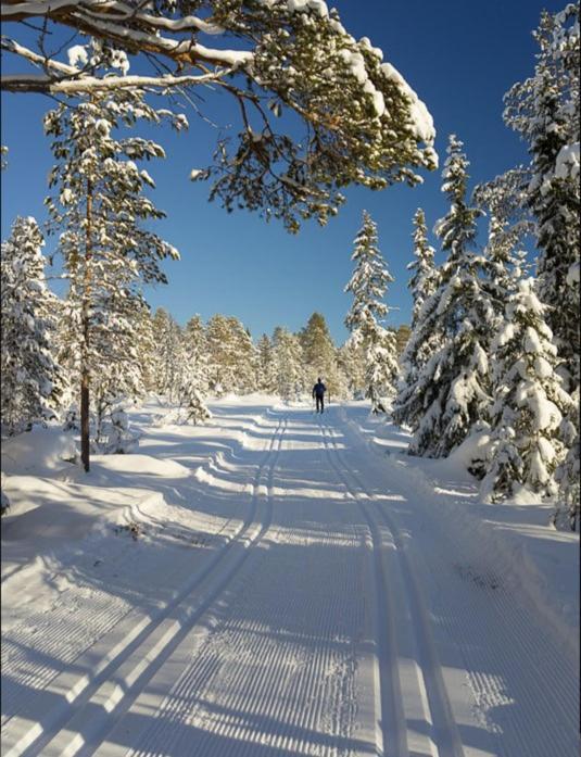 Ski Apartman Sajmon So Saunou Makov Exteriér fotografie
